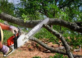 Best Lawn Watering Services  in Pitola, CA